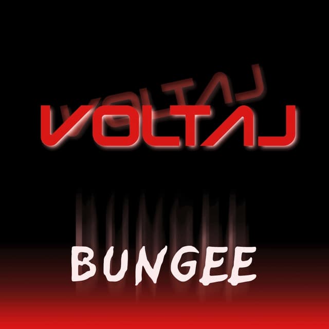 Album cover art for Bungee