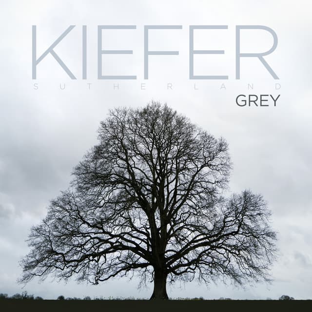 Album cover art for GREY