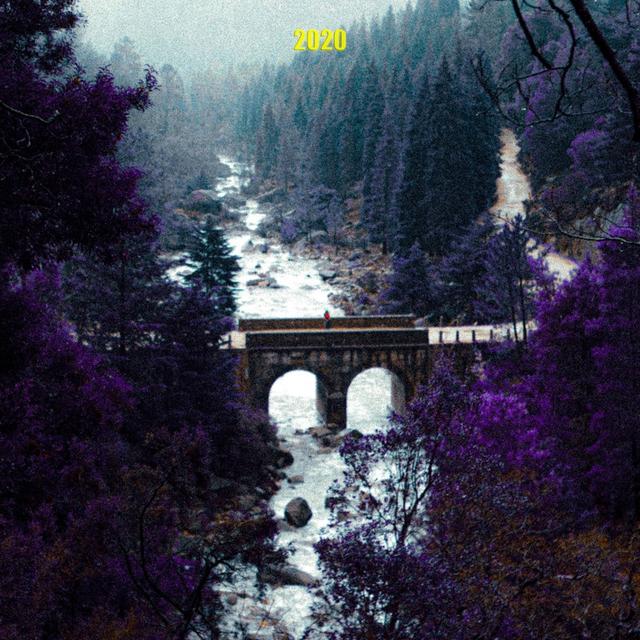 Album cover art for 2020