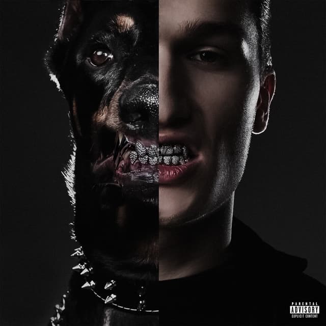 Album cover art for Project V