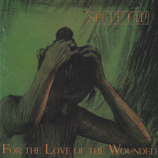 Album cover art for For The Love Of The Wounded