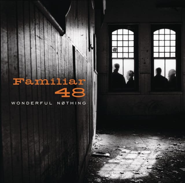 Album cover art for Wonderful Nothing