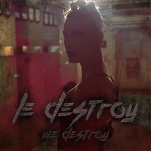 Album cover art for We Destroy