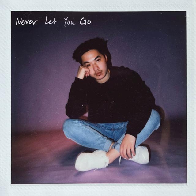Album cover art for Never Let You Go