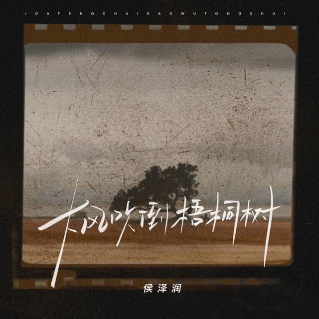 Album cover art for 大风吹倒梧桐树