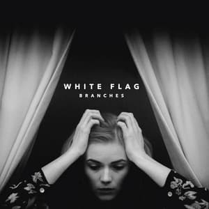 Album cover art for White Flag