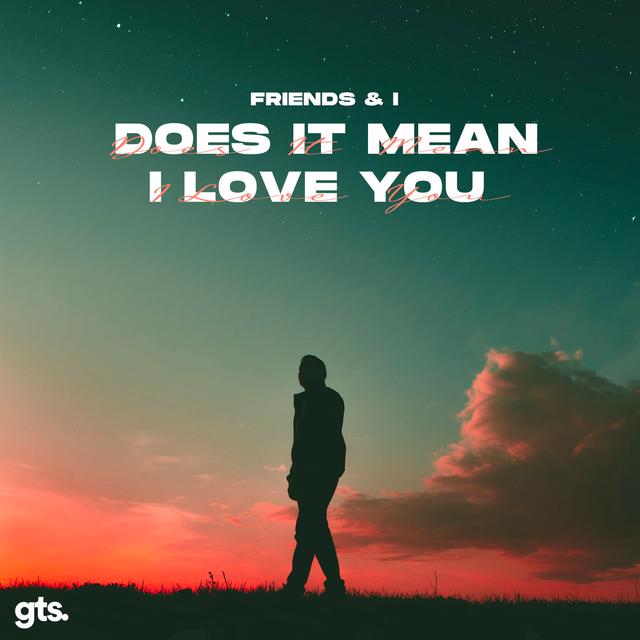 Album cover art for Does It Mean I Love U