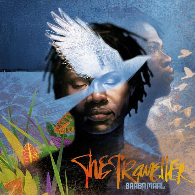 Album cover art for The Traveller