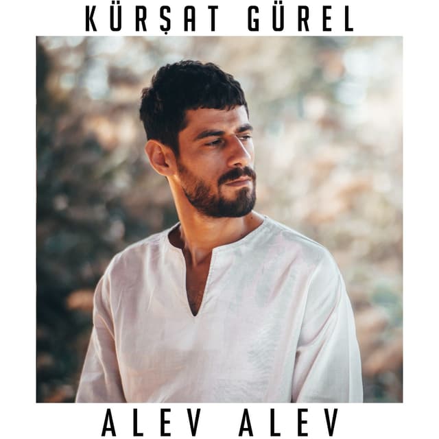 Album cover art for Alev Alev