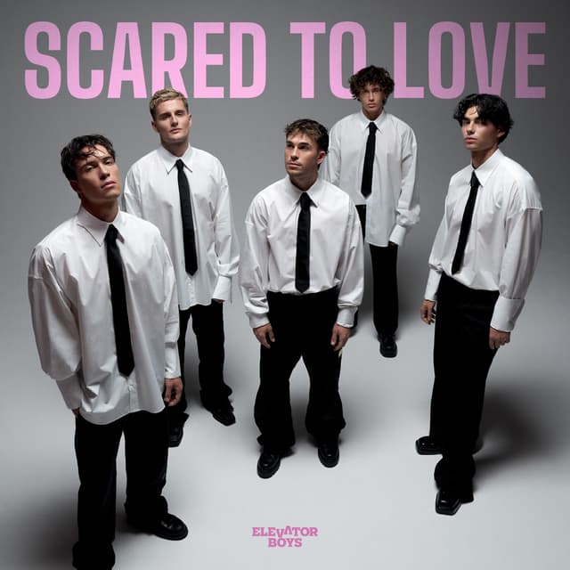 Album cover art for Scared to Love