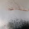 ​disintegrate