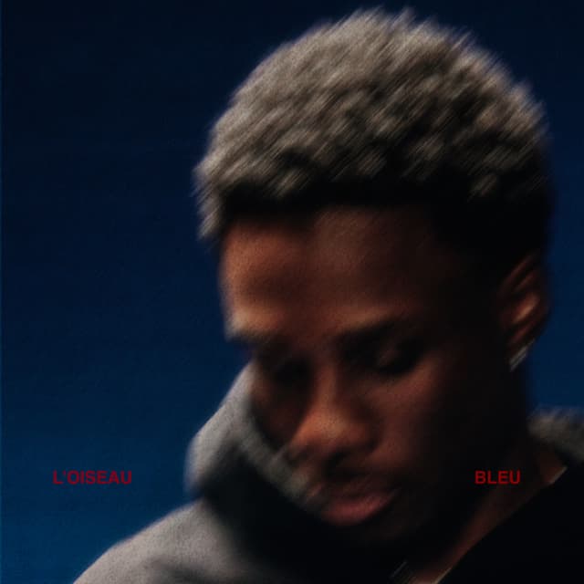 Album cover art for La nuit