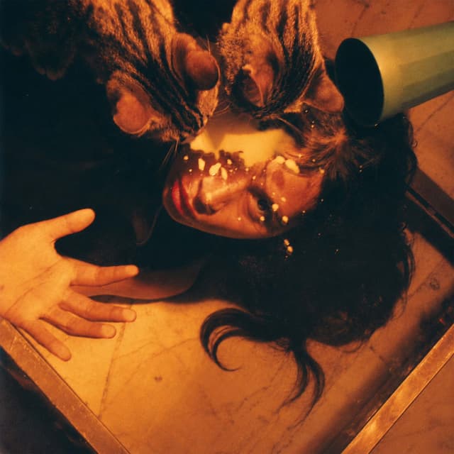 Album cover art for Miljillo