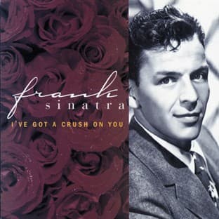 Album cover art for I've Got A Crush On You