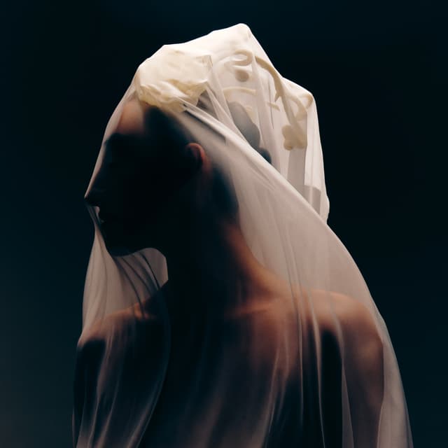 Album cover art for ПАМІНА (Reimagined)