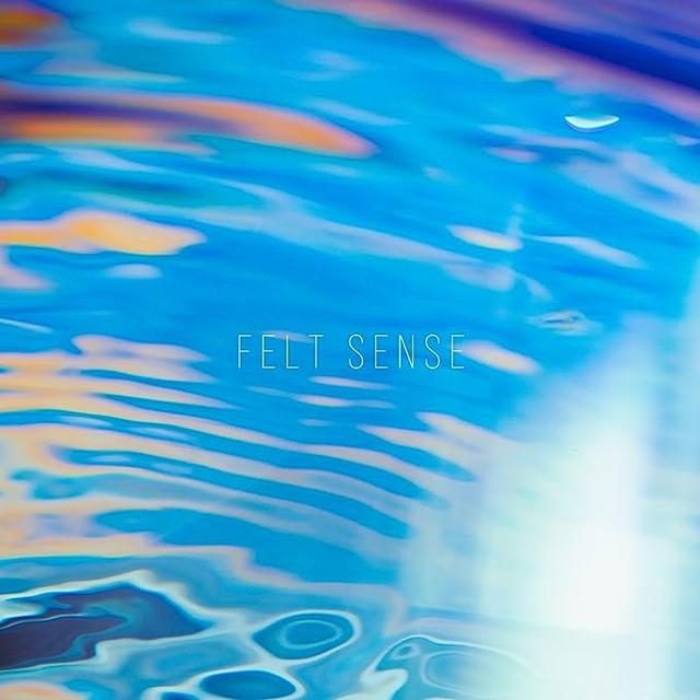Album cover art for FELT SENSE