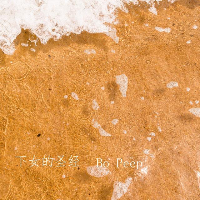 Album cover art for 下女的圣经