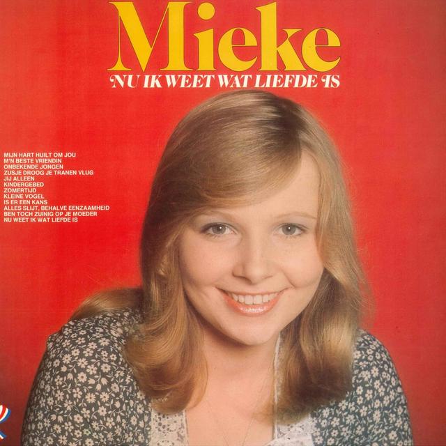 Album cover art for Nu Ik Weet Wat Liefde Is