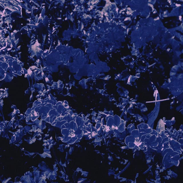 Album cover art for KOPYASI DÜNÜN BUGÜN
