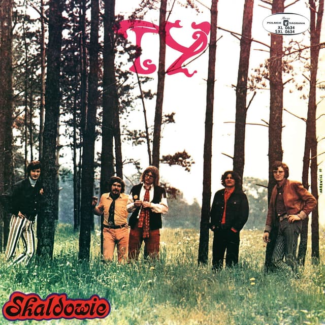 Album cover art for Ty