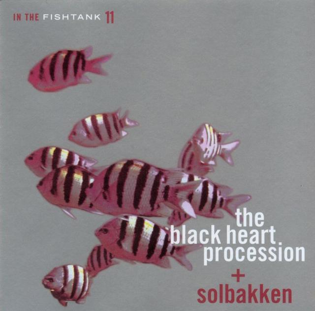 Album cover art for In the Fishtank Series, Vol. 11