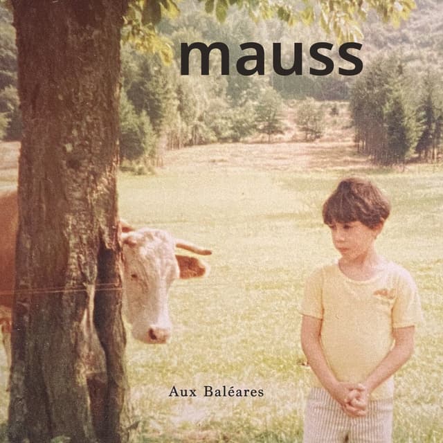 Album cover art for Aux Baléares