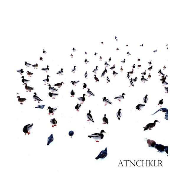 Album cover art for ATNCHKLR