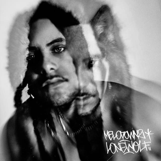 Album cover art for LONE WOLF