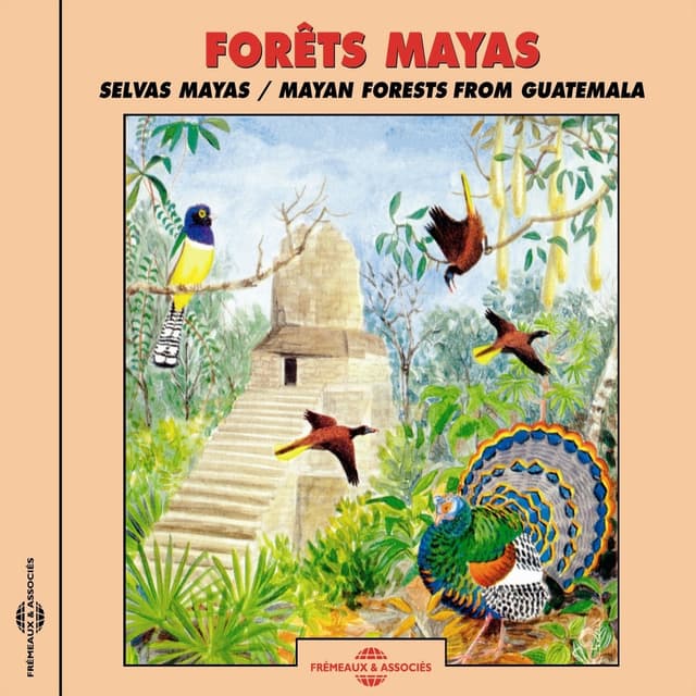 Album cover art for Forêts mayas / Mayan Forests from Guatemala