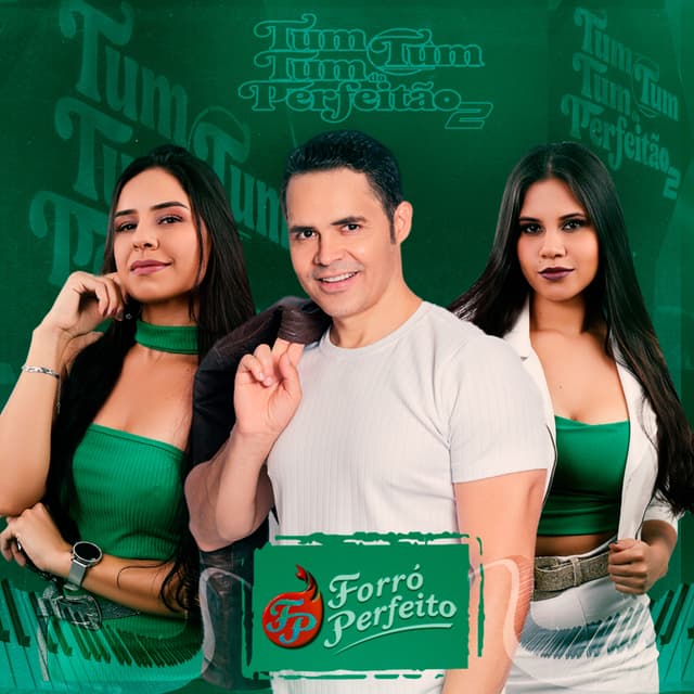 Album cover art for Tum Tum Tum do Perfeitão 2