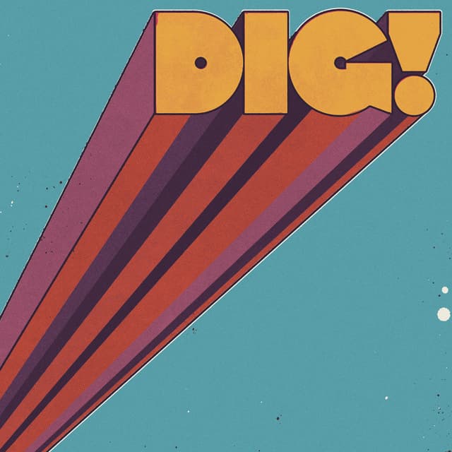Album cover art for DIG!