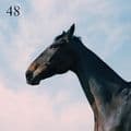 Album cover art for 48