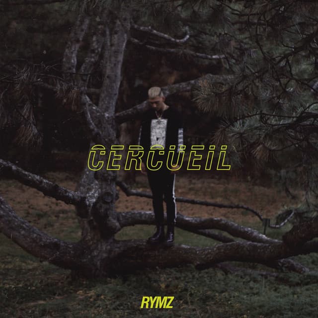 Album cover art for Cercueil