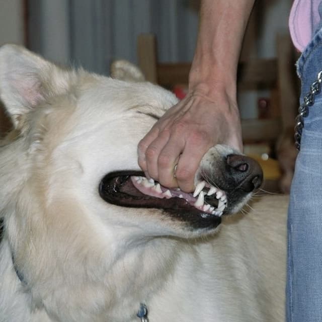 Album cover art for I'll Be Okay