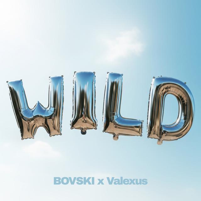 Album cover art for WILD