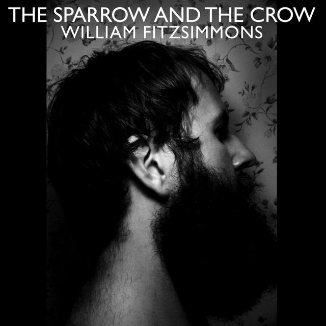 Album cover art for The Sparrow and the Crow