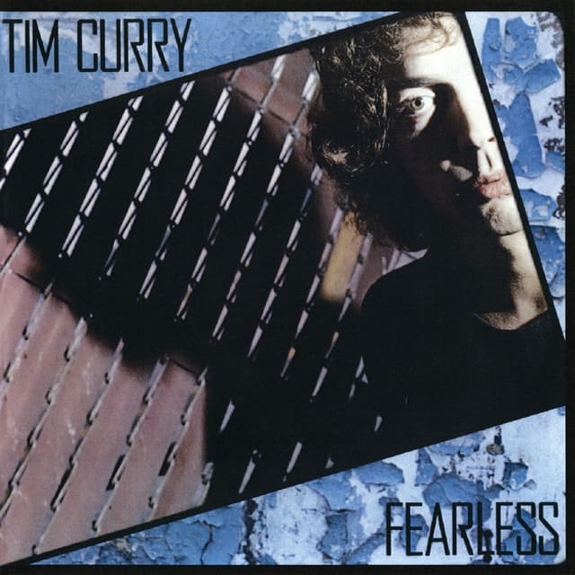 Album cover art for Fearless