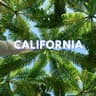 California