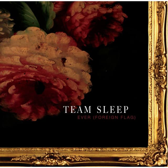 Album cover art for Ever