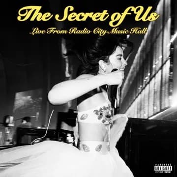Album cover art for THE SECRET OF US