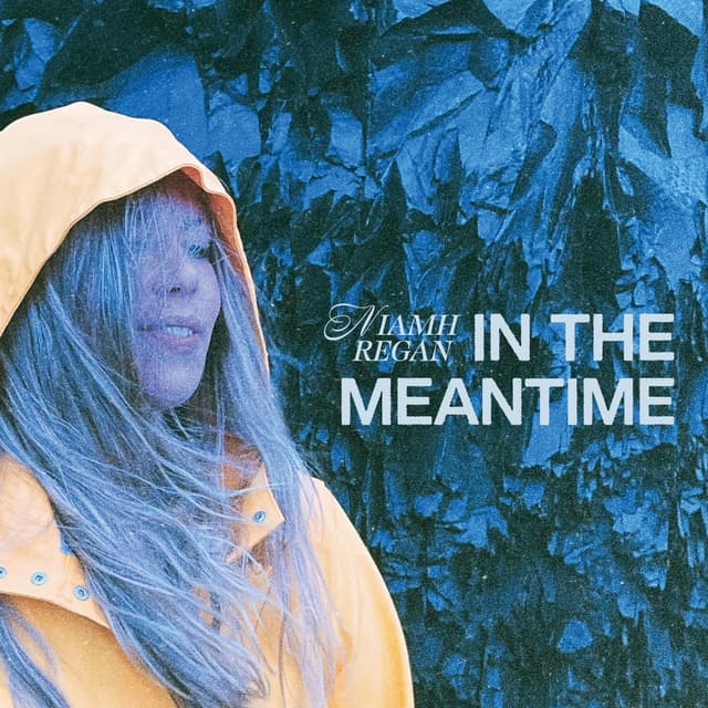 Album cover art for In the Meantime