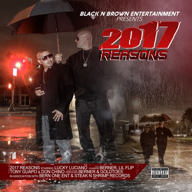 Album cover art for 2017 Reasons