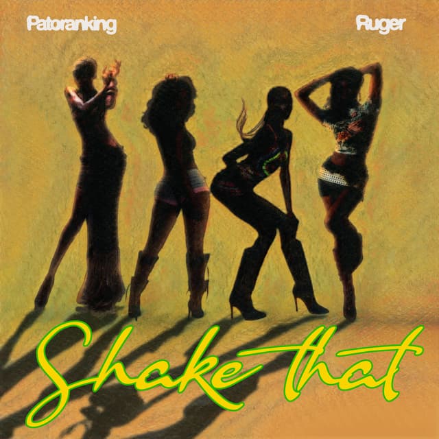 Album cover art for Shake That