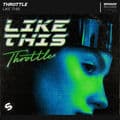Album cover art for Like This