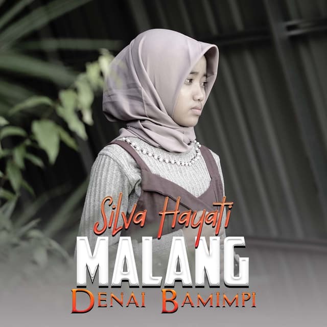 Album cover art for Malang Denai Bamimpi