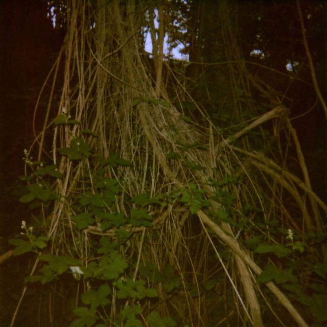 Album cover art for Stanza I-III