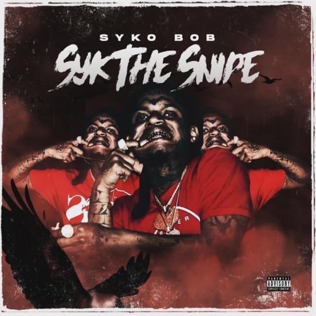 Album cover art for Syk The Snipe Vol 1.