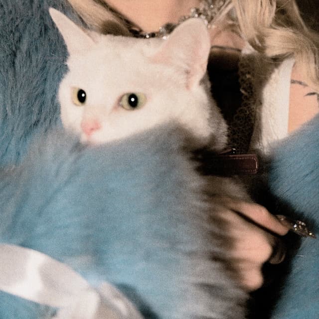 Album cover art for НЕ ЛЮБЛЮ