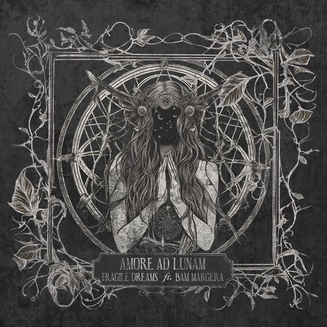 Album cover art for Fragile Dreams