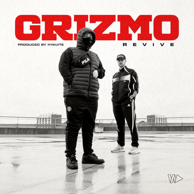 Album cover art for Revive